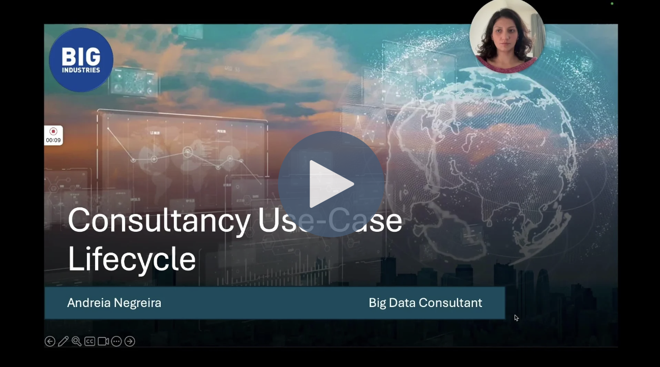 Consultancy Use-Case Lifecycle